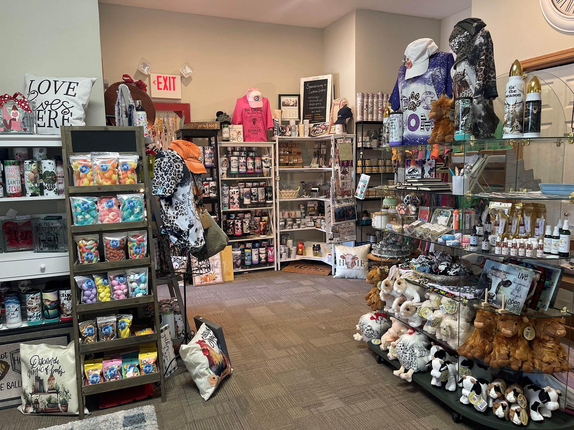 A small, brightly lit store displays various items including plush toys, pet supplies, clothing, and decorative signs arranged on shelves and racks. An "EXIT" sign is visible in the background.