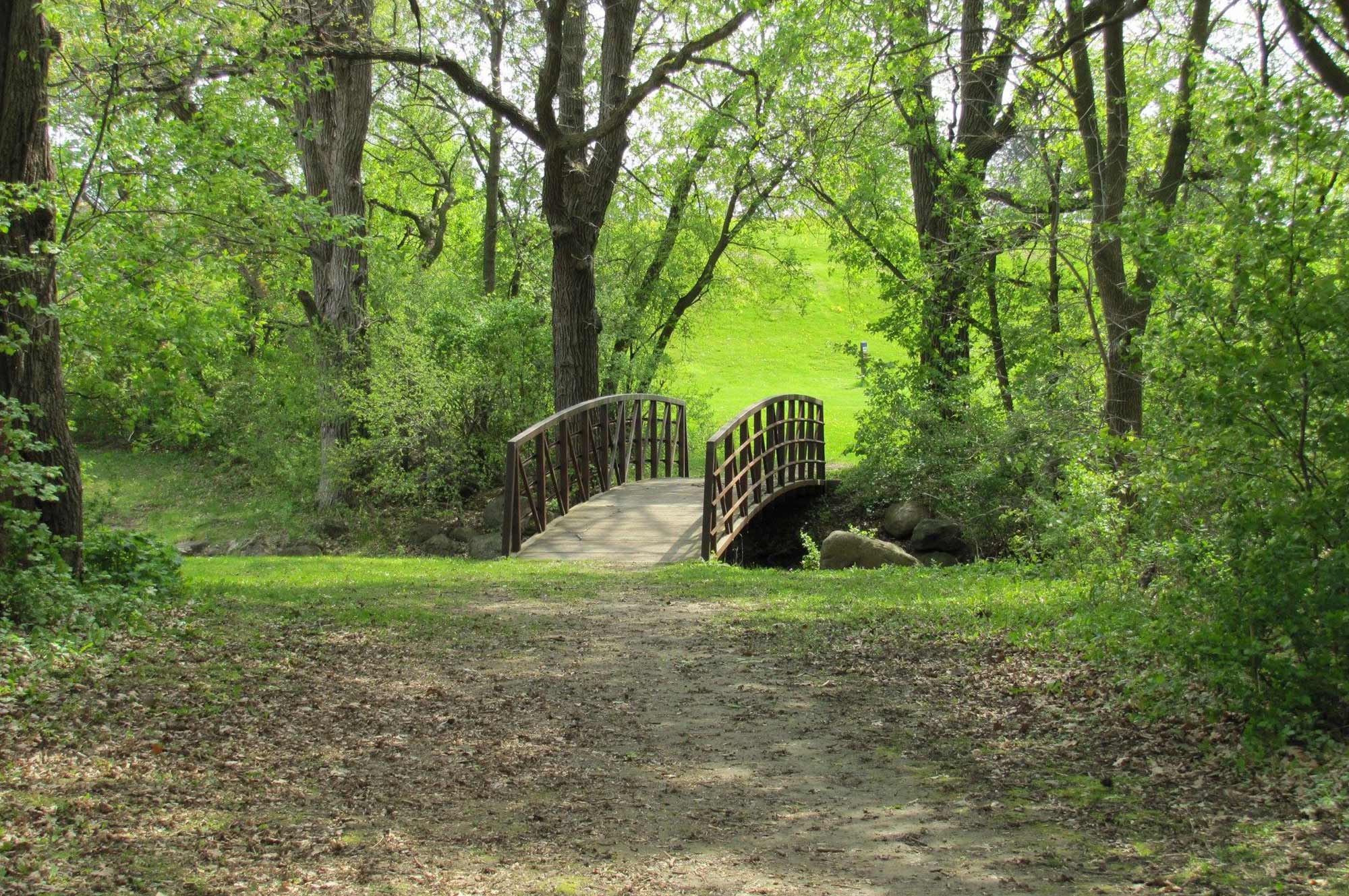 A small wooden bridge spans a narrow stream in a lush, green wooded area. A dirt path leads up to the bridge surrounded by trees and foliage.