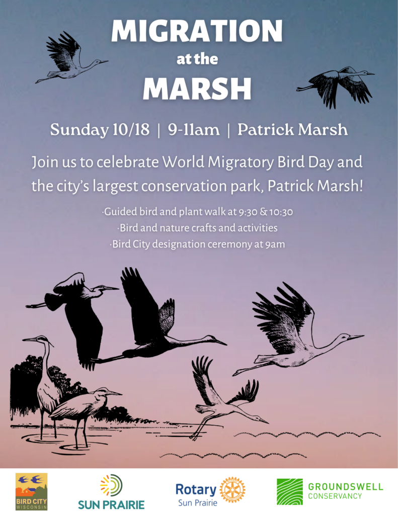 Illustration of birds flying over a marsh at sunrise, with event details for Migration at the Marsh, including time, location, activities, and sponsor logos at the bottom.