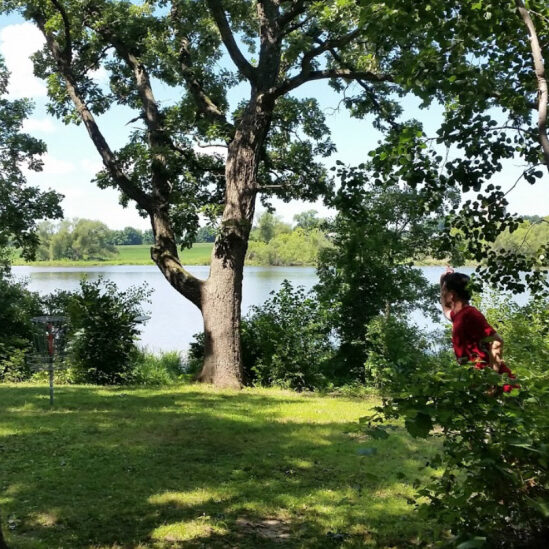 A person in a red shirt stands by trees near a lake with a disc golf basket nearby on a sunny day.